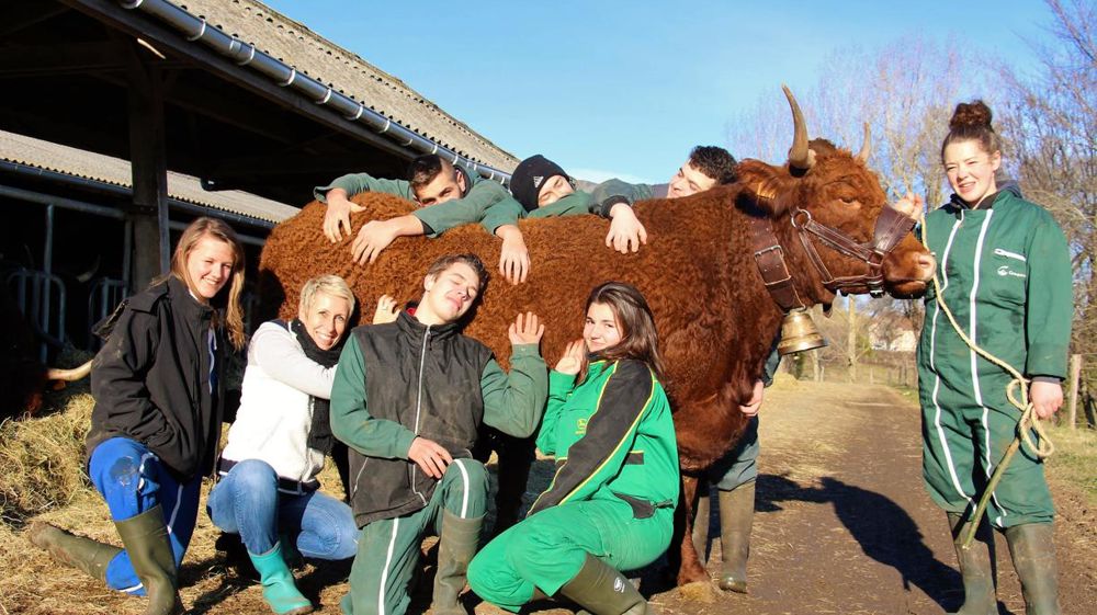 © M. Roque-Marmeys